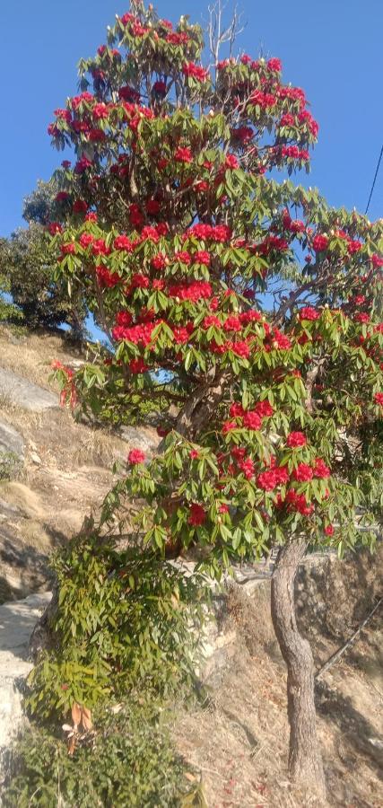 Chandarshila Hike Homestay Ukhimath ภายนอก รูปภาพ