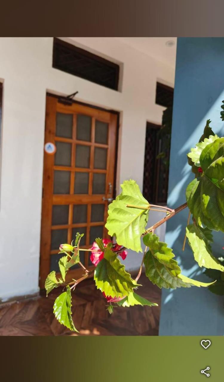 Chandarshila Hike Homestay Ukhimath ภายนอก รูปภาพ